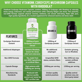 VitaMonk Capsules de Champignon Cordyceps 2000mg avec rhodiola