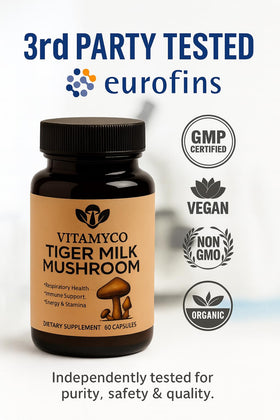 Vitamyco Champignon Lait Tigre avec ingrédients naturels