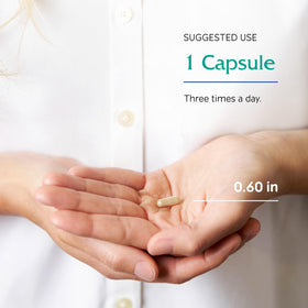 Vitanica Ginkgo Biloba, capsules dans une main