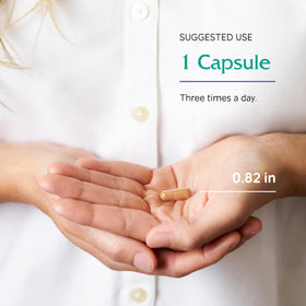 Vitanica Thé Vert capsules avec une tasse de thé vert