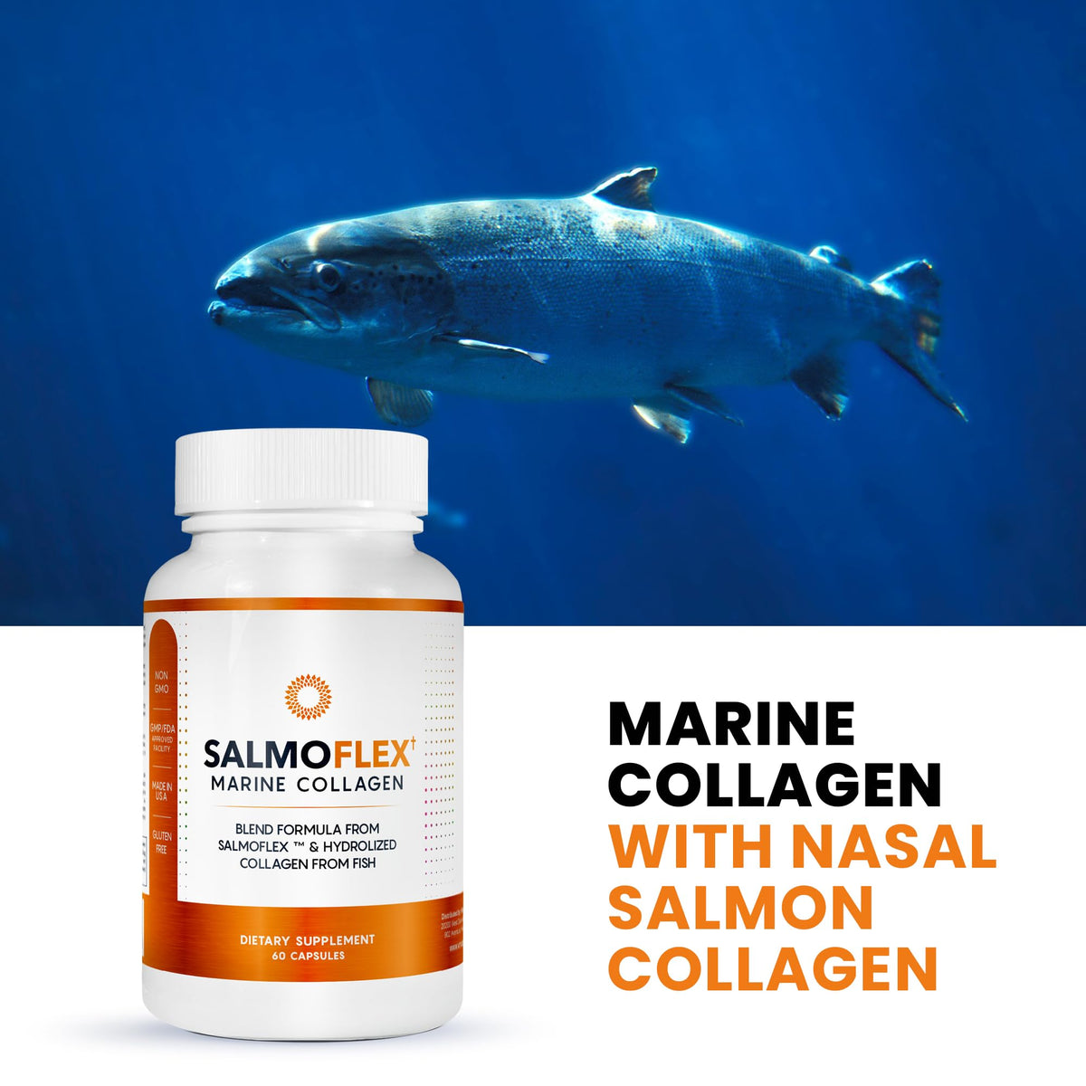 VITASEI Collagène Marin 60 Capsules avec des ingrédients naturels en arrière-plan