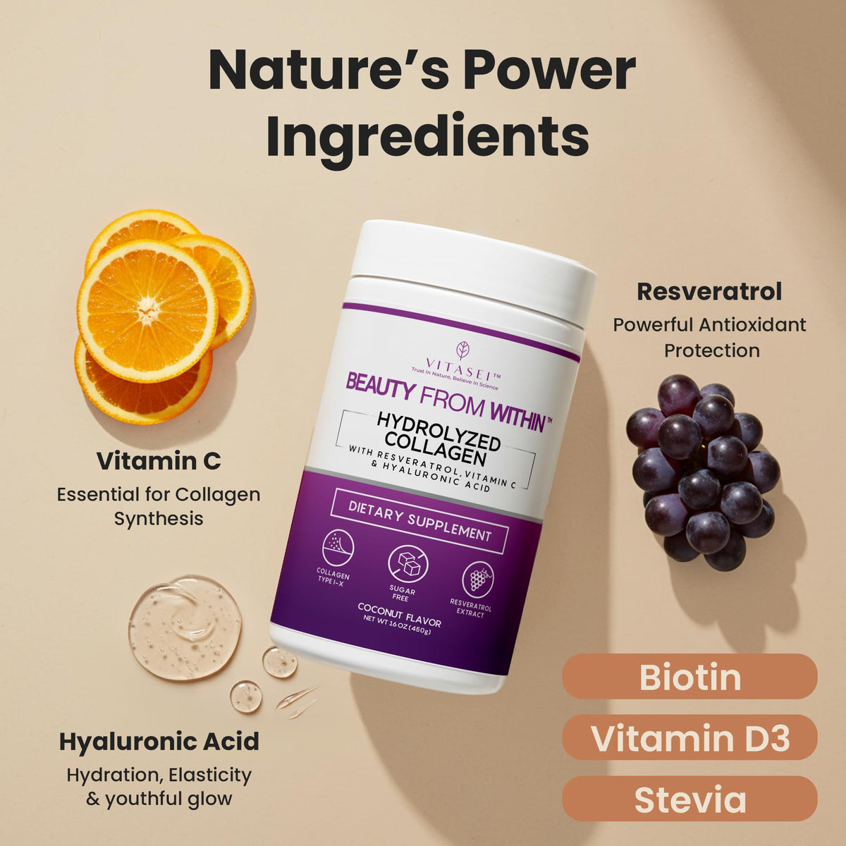 VITASEI Poudre de Collagène Hydrolysé Saveur Coco 590g avec ingrédients naturels