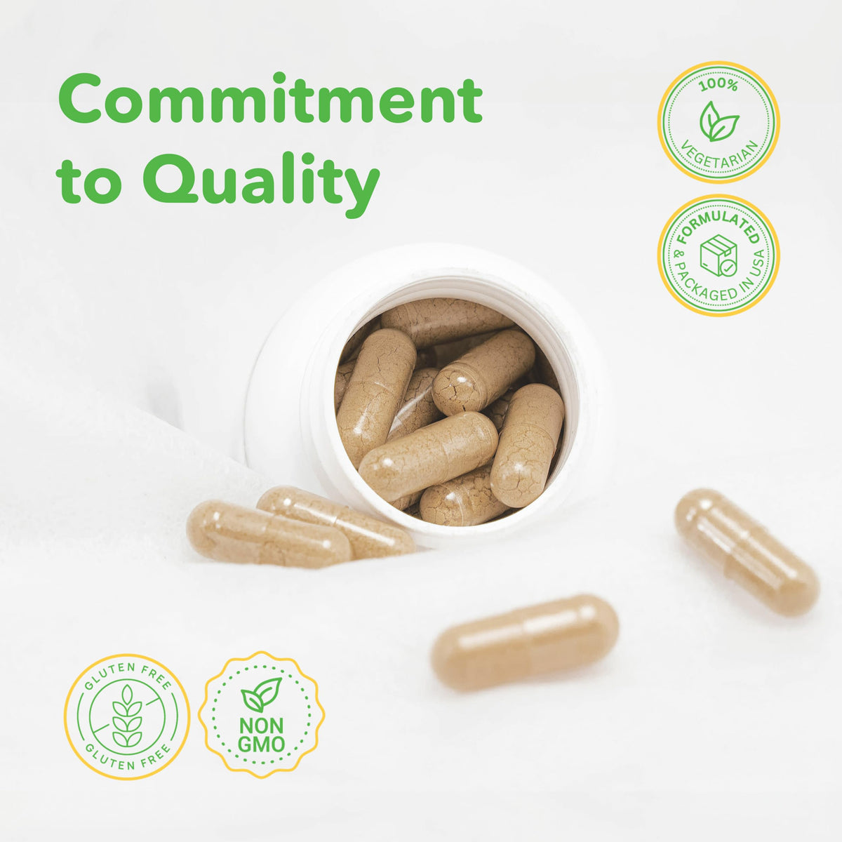 VITASUPPORTMD Lymphatic Formula 1000mg 60 Capsules - présentation du produit