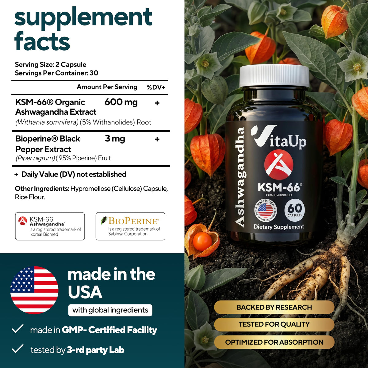 VitaUp Ashwagandha KSM-66 bouteille avec étiquette