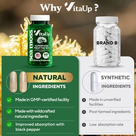 VitaUp capsules en gros plan avec racine de bardane et fucus