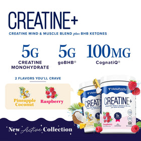 Vitauthority créatine monohydrate framboise dans un shaker