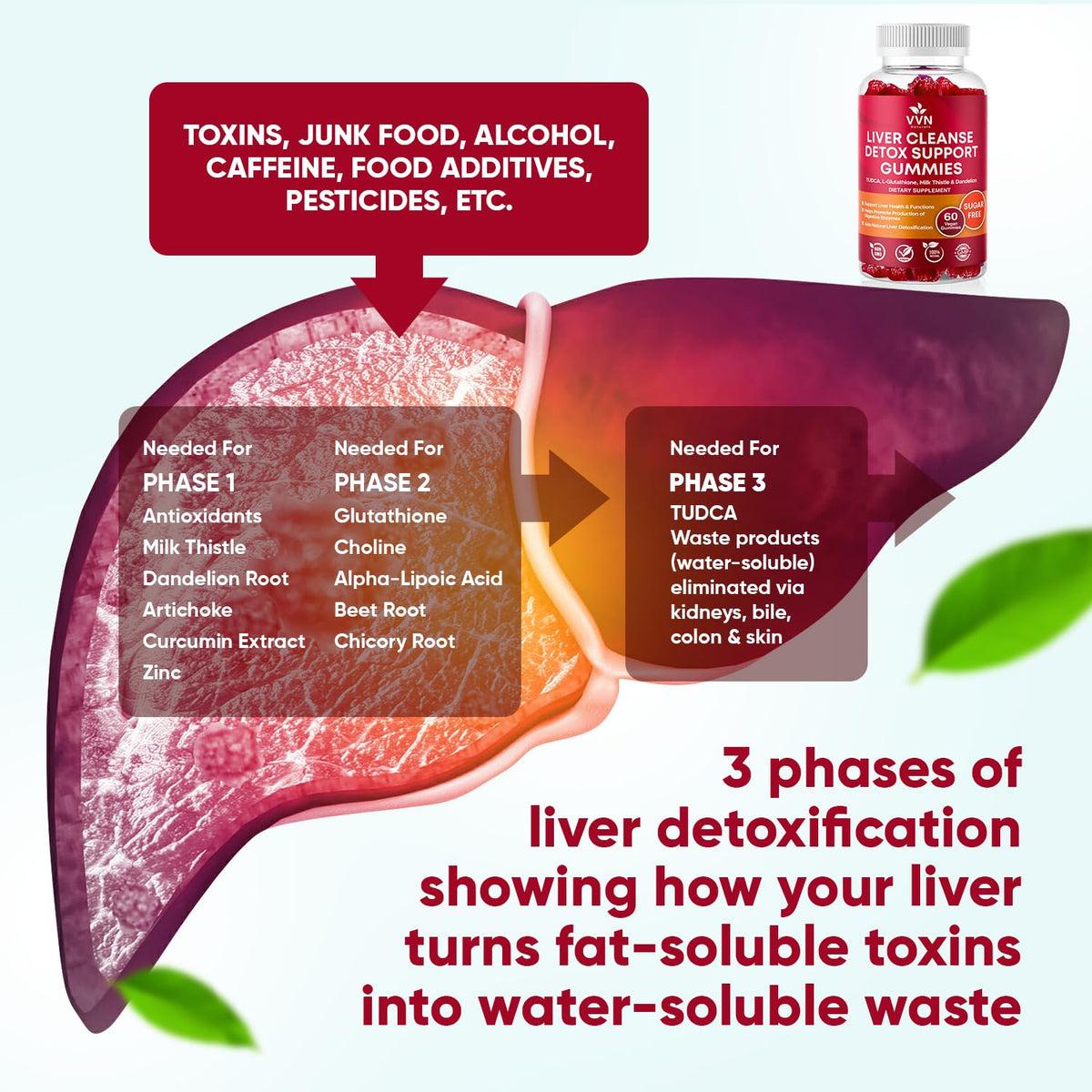 VitaVida gummies détoxifiant foie 700mg vue arrière de l'emballage