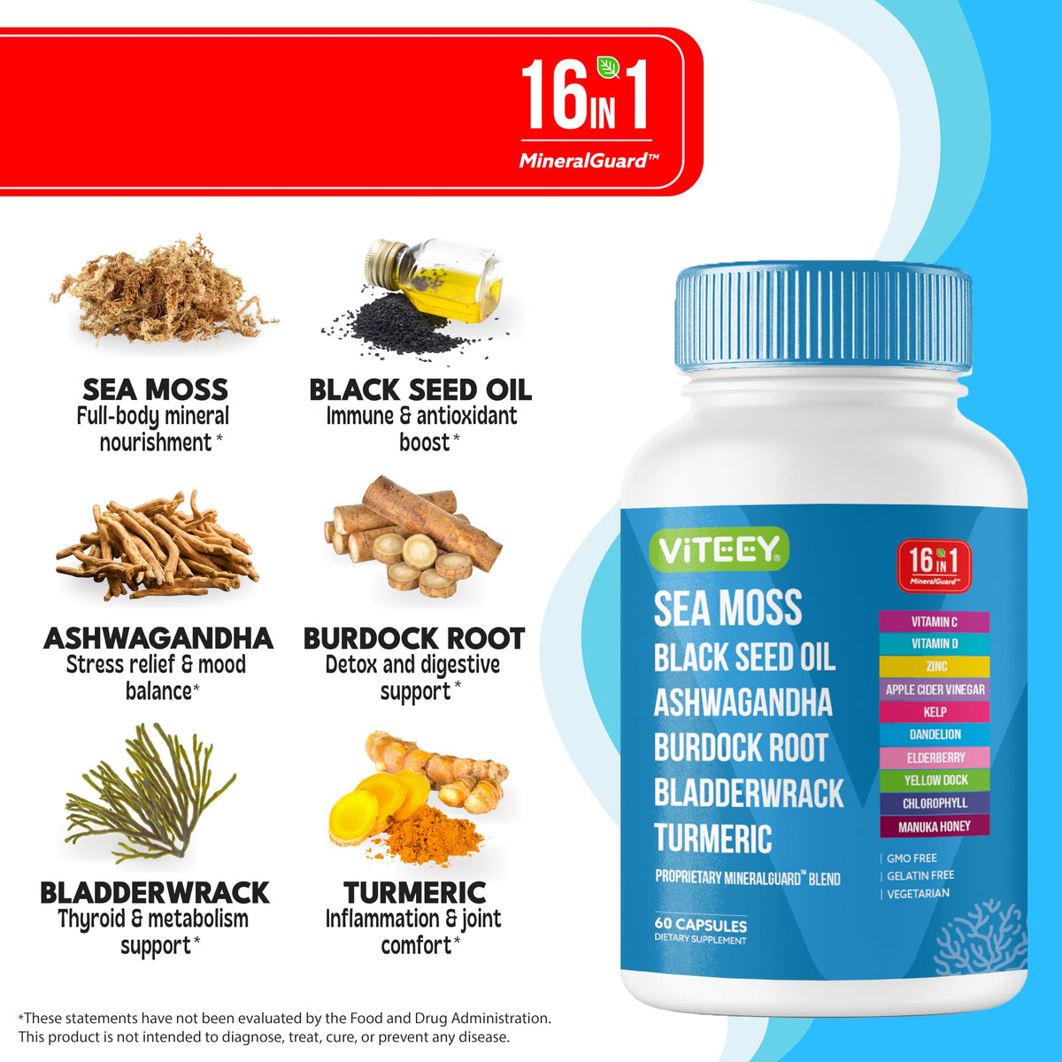 Viteey Capsules de Mousse de Mer - illustration des ingrédients