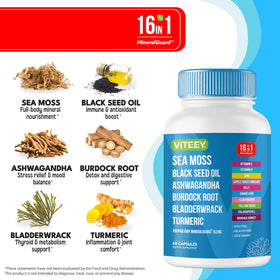 Viteey Capsules de Mousse de Mer - illustration des ingrédients