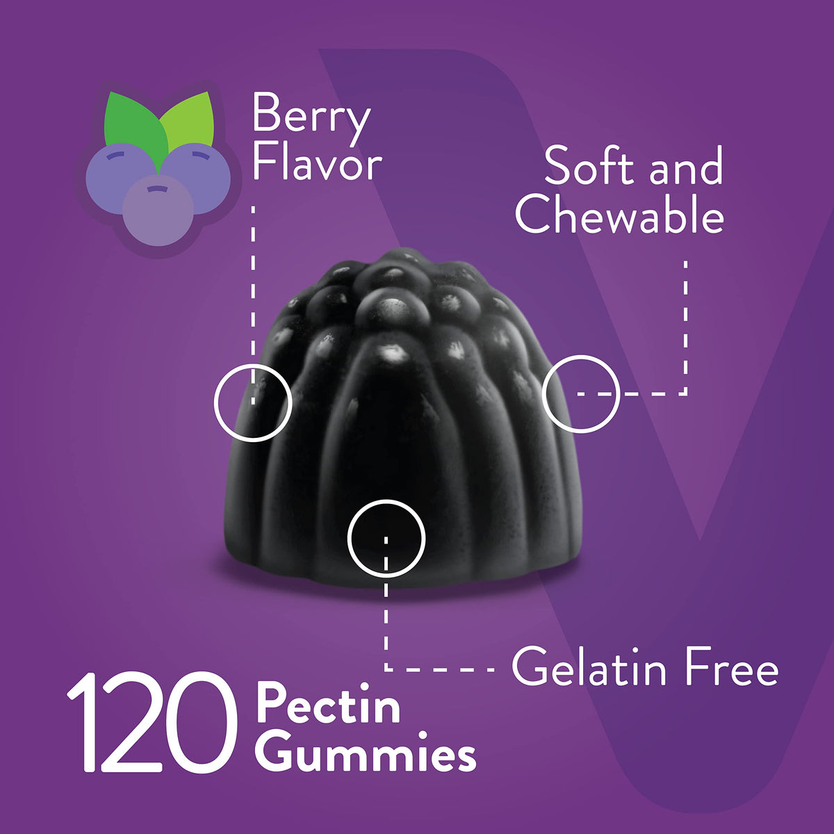 Viteey Gummies de Sureau Noir 120 Gummies emballage