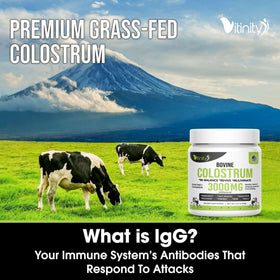 VITINITY Poudre de Colostrum Bovin 3000 mg sur une cuillère
