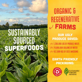 Vive Organic Shot dans un environnement de vie saine