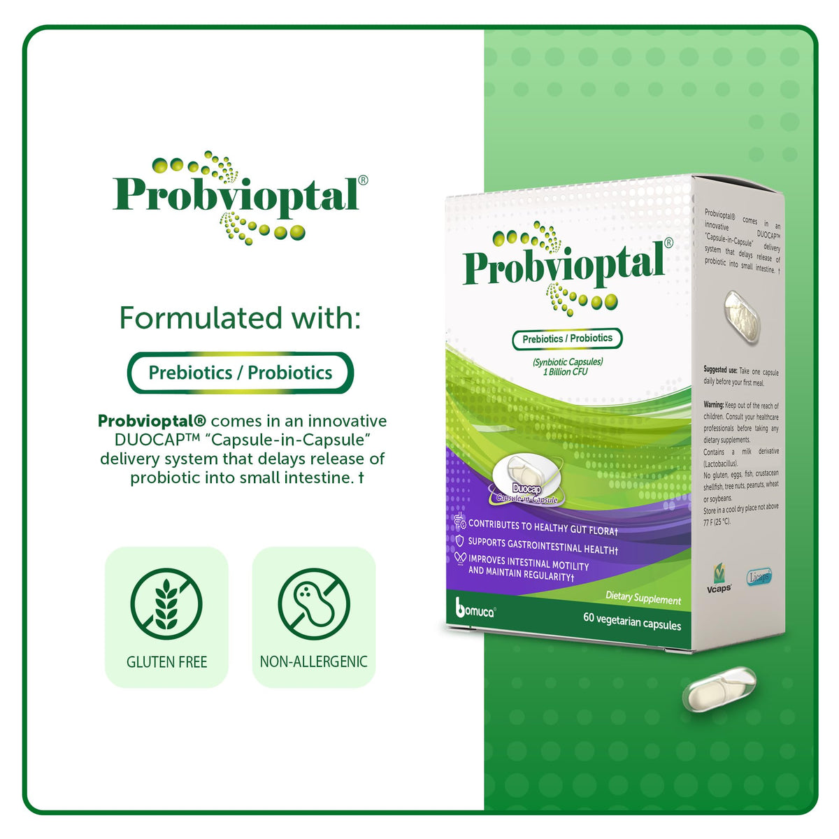 Vivioptal Probvioptal capsules avec un verre d'eau