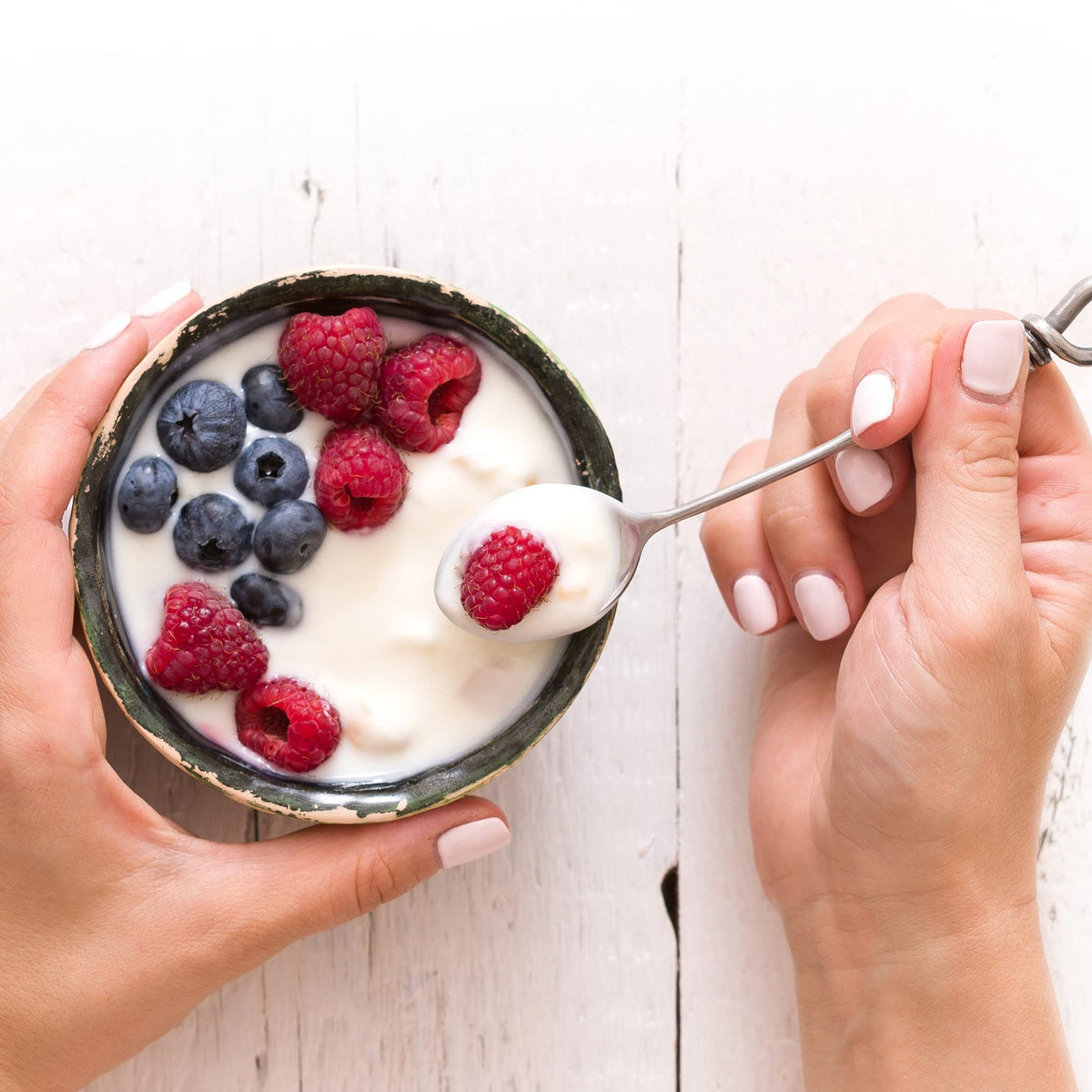 VIVO Starter de Yaourt Probiotique avec différents types de lait