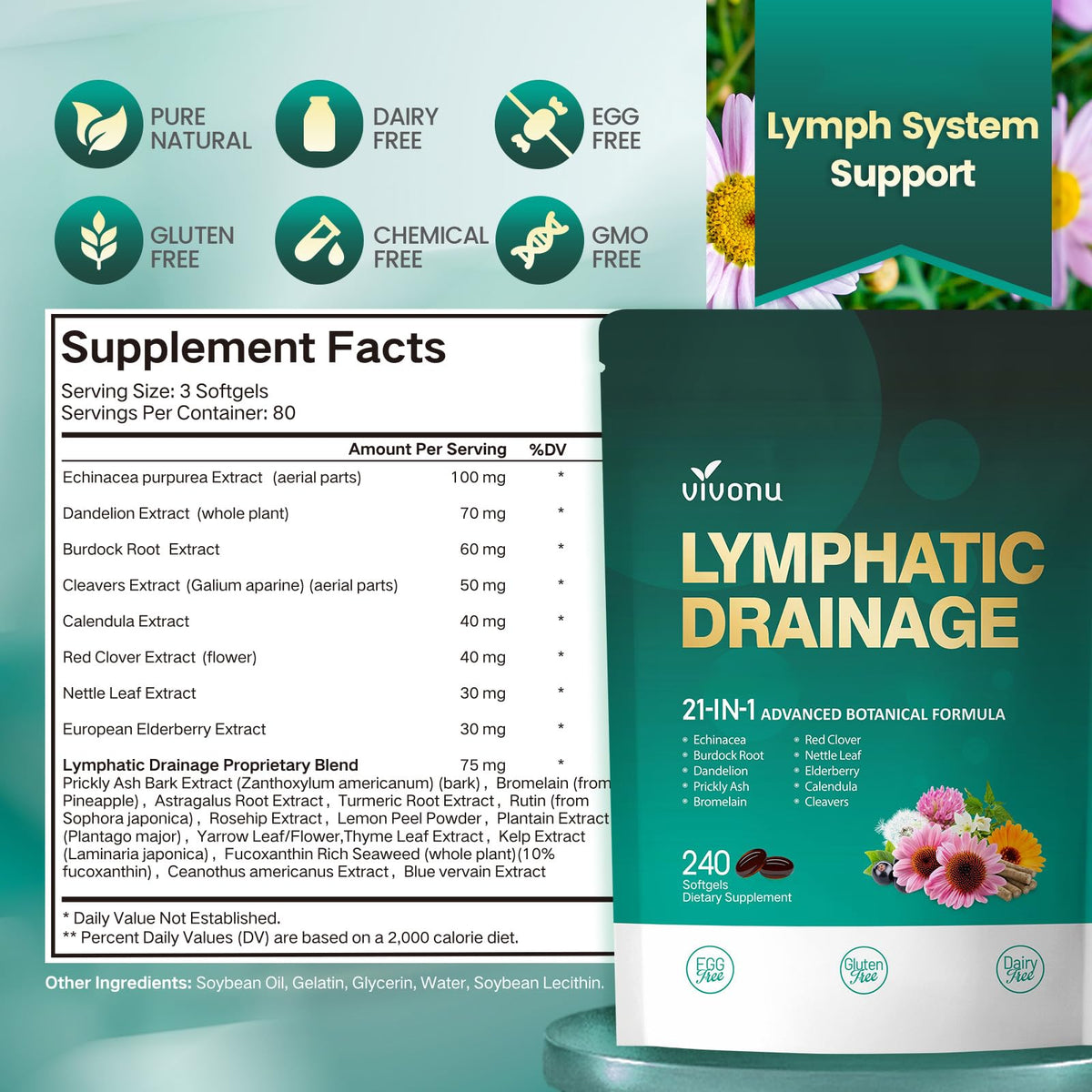 VivoNu gélules Drainage Lymphatique 21 en 1 dans une main