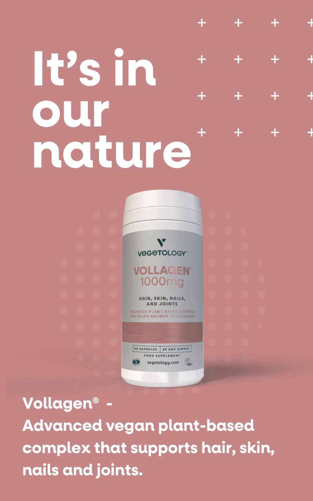 Vollagen Complex Végétal VEGETOLOGY vue arrière avec ingrédients