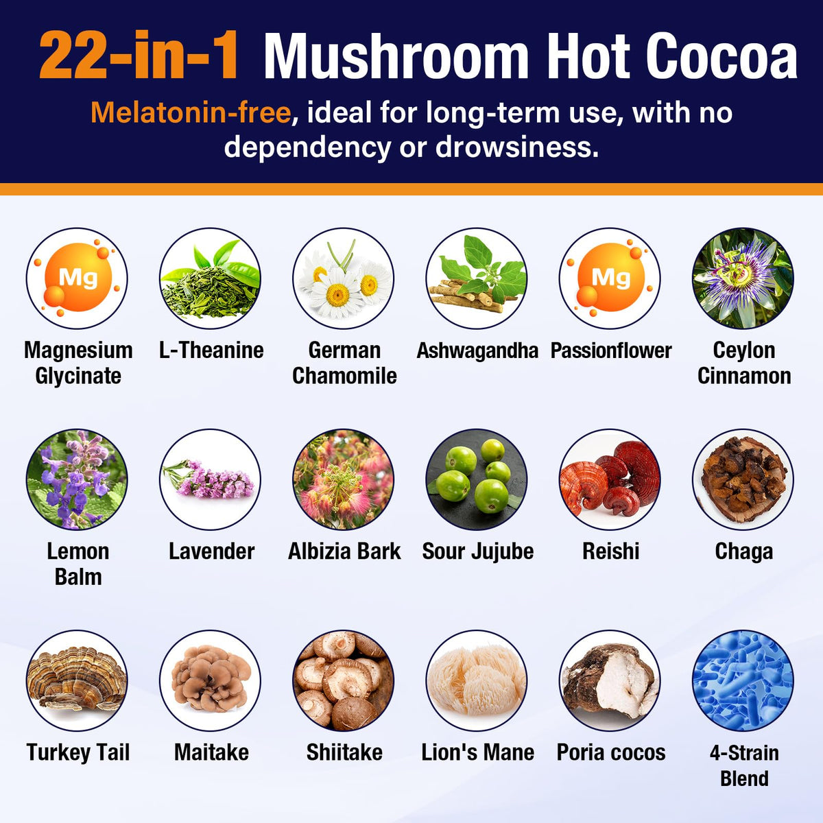 Volocatilly Poudre de Chocolat Chaud aux Champignons 231g ingrédients