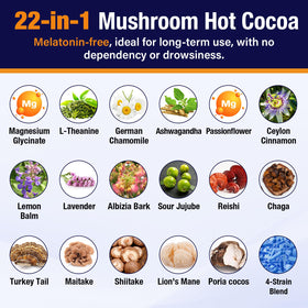 Volocatilly Poudre de Chocolat Chaud aux Champignons 231g ingrédients