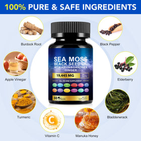 Vortexonix Capsules de Mousse de Mer et Huile de Graines Noires, vue arrière