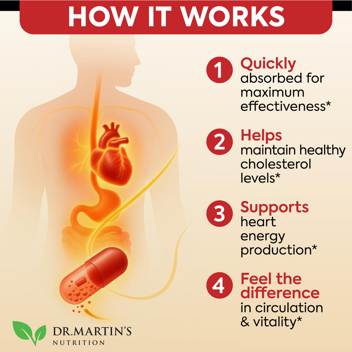 Vue aérienne des capsules de riz rouge et CoQ10 de DR. MARTIN'S NUTRITION
