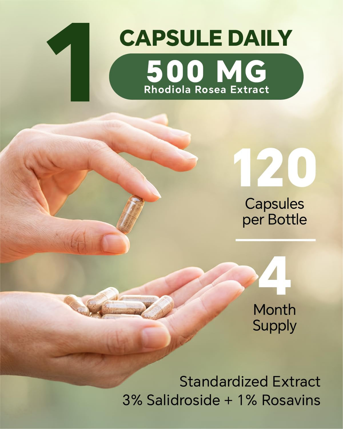 Vue aérienne du flacon de Rhodiola Rosea 500mg