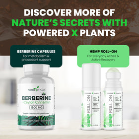 Vue arrière de l'emballage de cacao flavanol