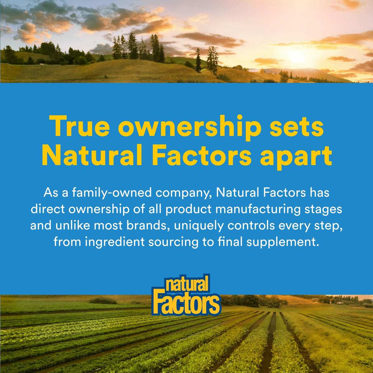 Vue arrière de l'emballage de L-Glutamine Natural Factors