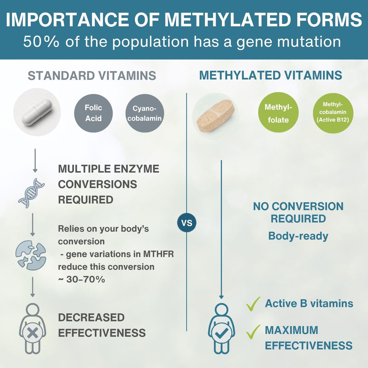 Vue arrière de l'emballage de la multivitamine Igennus