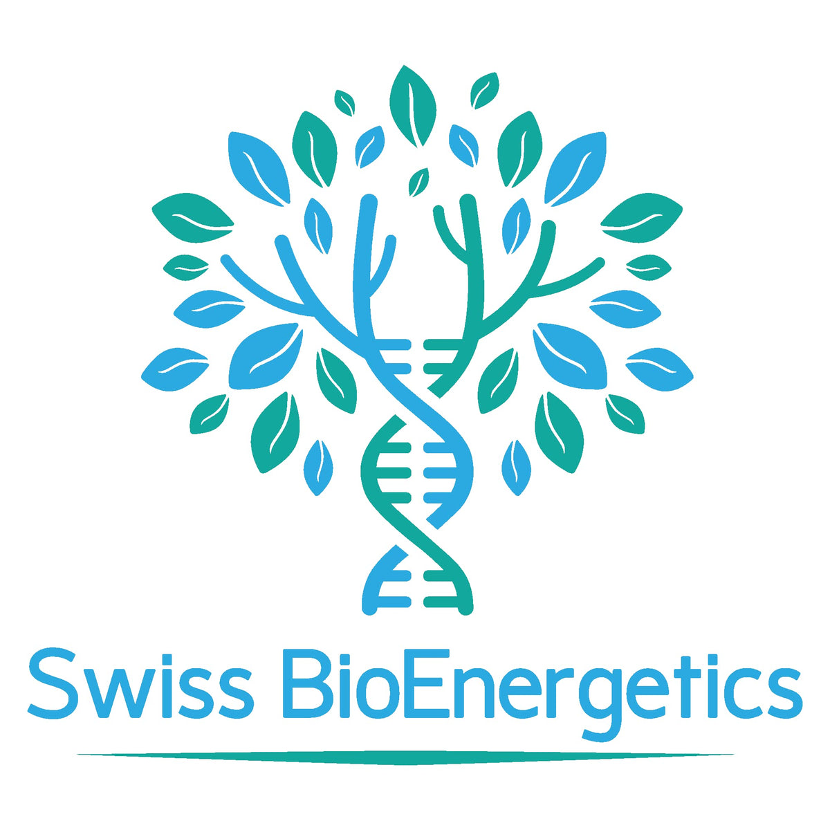 Vue arrière de l'emballage de Magnésium L-Thréonate Swiss Bioenergetics