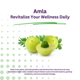 Vue arrière de l'emballage de Paradise Herbs Amla 250 mg