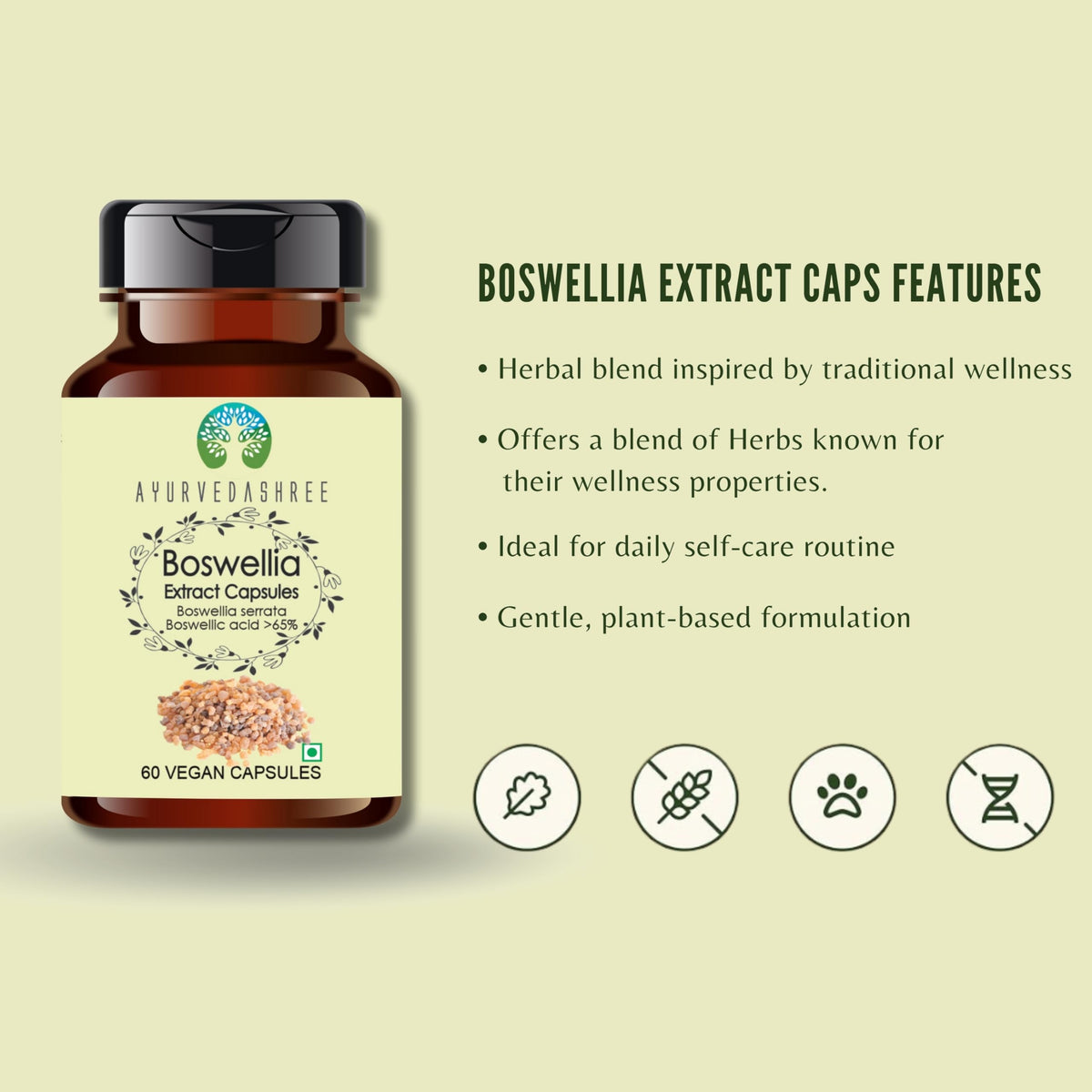 Vue arrière de l'emballage des capsules AYURVEDASHREE