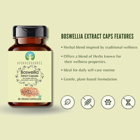 Vue arrière de l'emballage des capsules AYURVEDASHREE