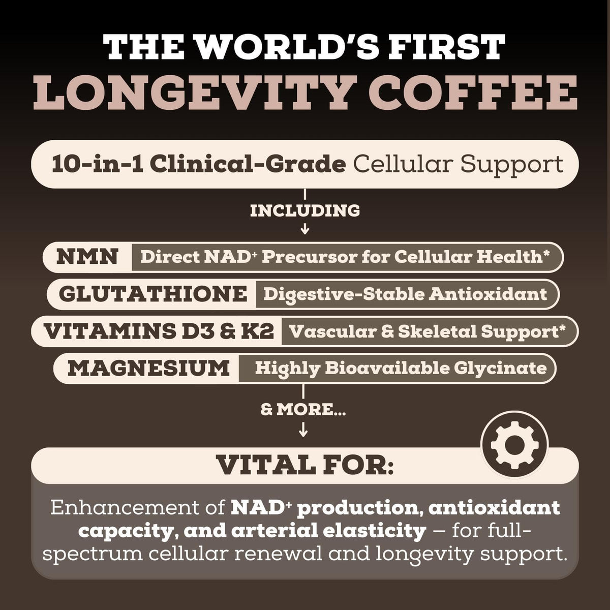 Vue arrière de l'emballage du Black Forest Longevity Mix