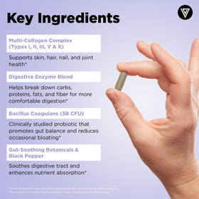 Vue arrière de l'emballage du Complexe Multi-Collagène Vital Vitamins