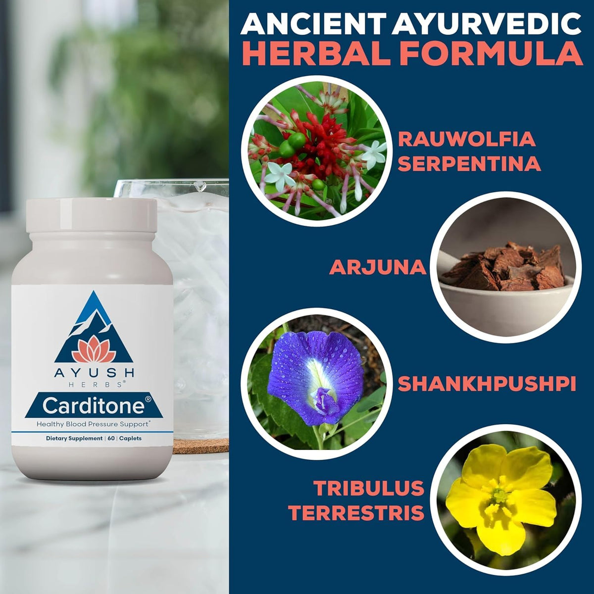 Vue arrière de la boîte d'Ayush Herbs Carditone