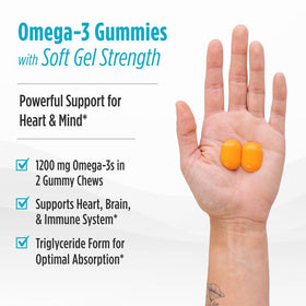 Vue arrière de la boîte de gommes Omega 3 Nordic Naturals