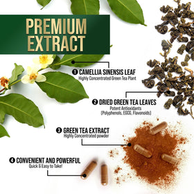 Vue arrière de la bouteille d'extrait de thé vert Nature's Nutrition