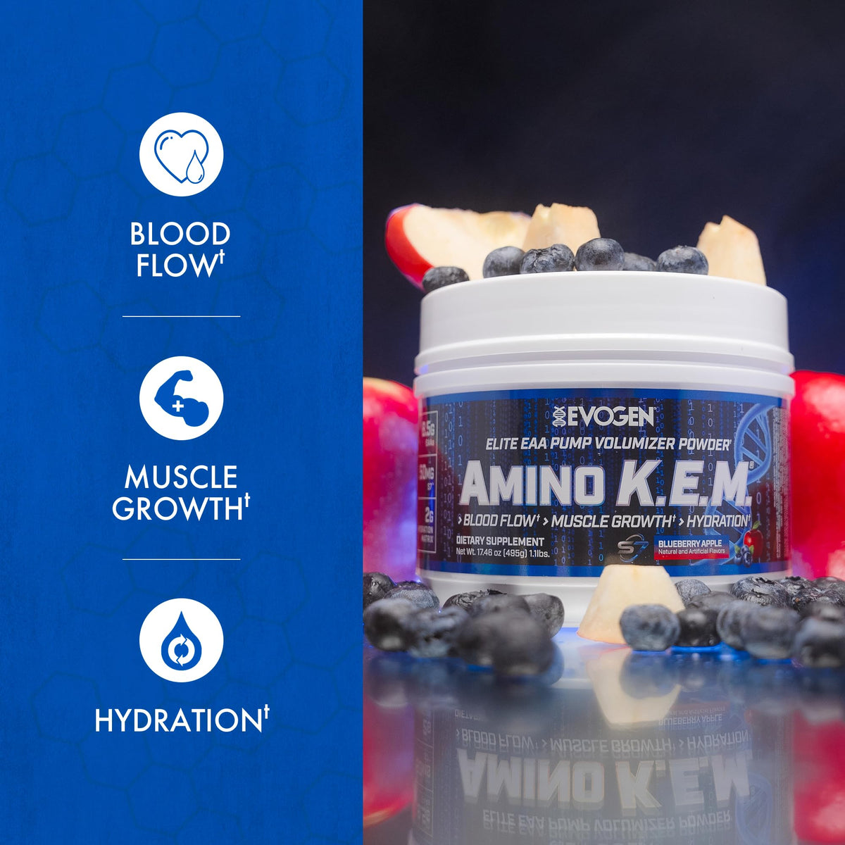Vue arrière de la poudre Evogen Amino K.E.M. 590g