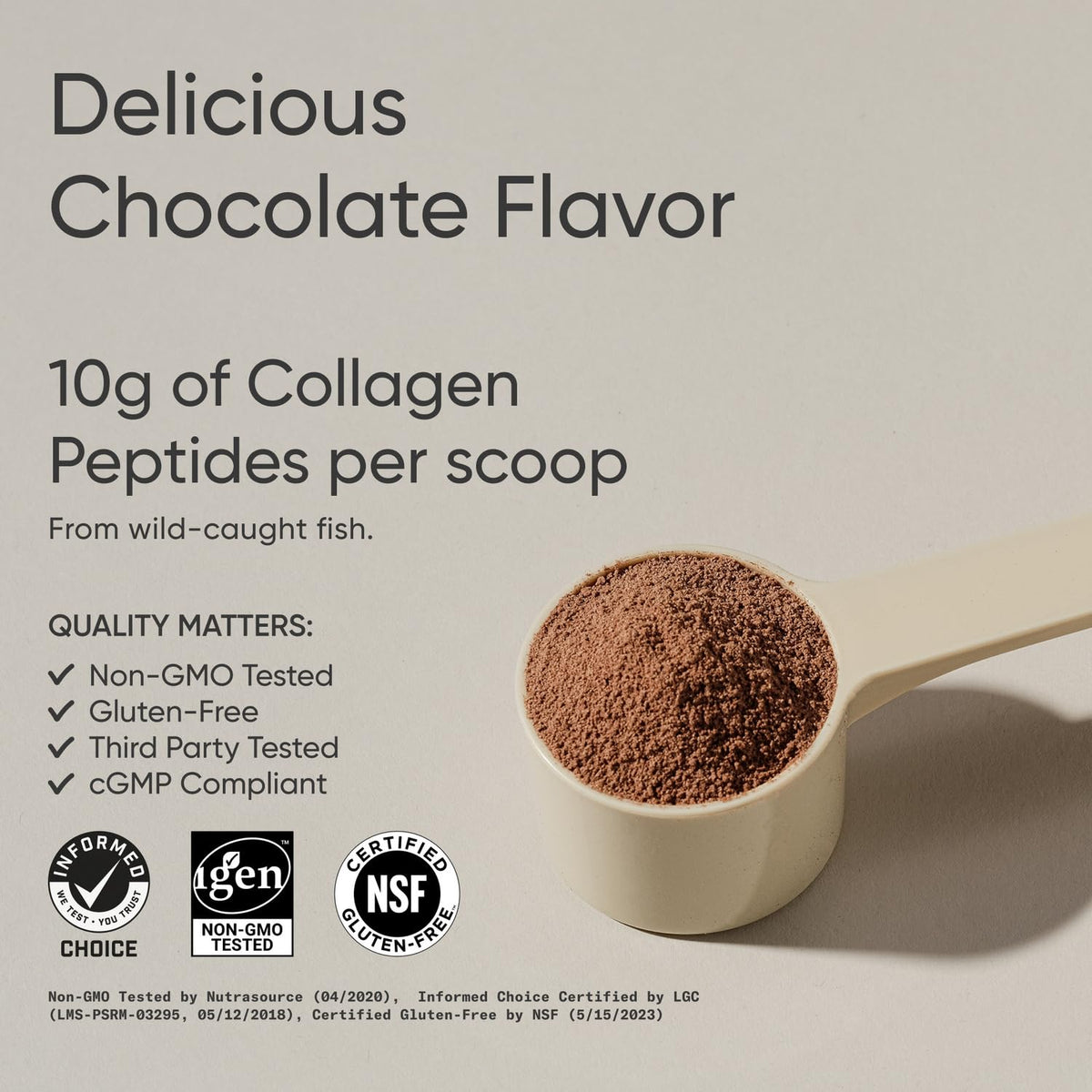 Vue arrière du collagène marin chocolat noir Sports Research