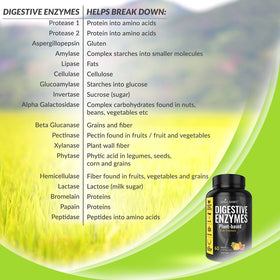 Vue arrière du flacon d'enzymes daily DNA SHIFT