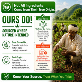 Vue arrière du flacon d'extrait de Boswellia Serrata HCL HERBAL CODE LABS