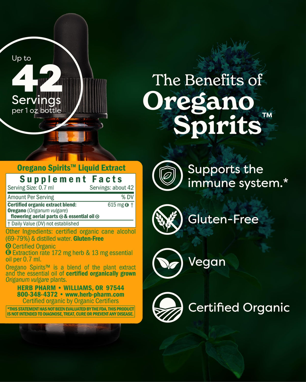 Vue arrière du flacon d'extrait de spirites d'origan Herb Pharm