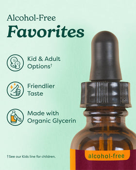 Vue arrière du flacon d'extrait de sureau noir Herb Pharm
