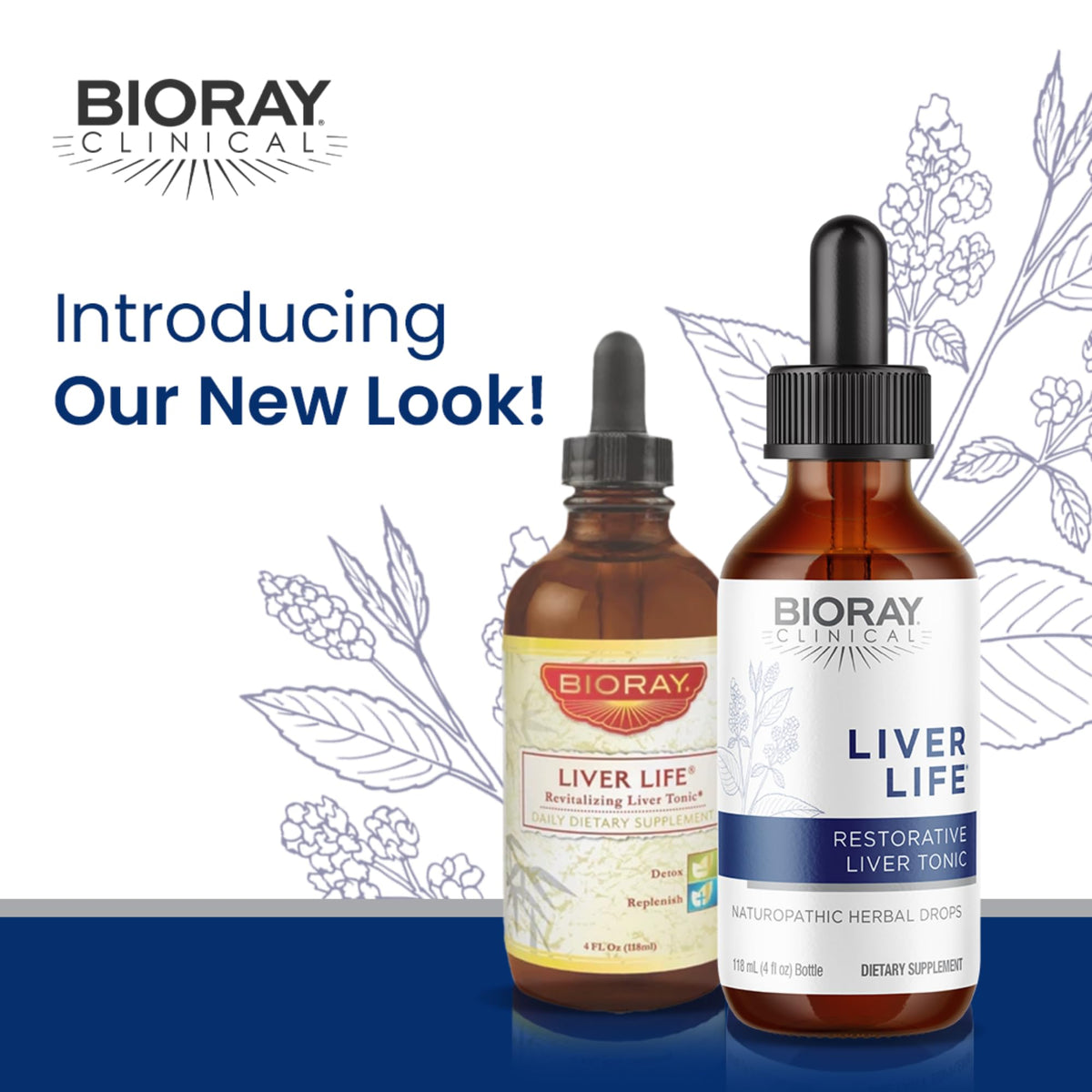 Vue arrière du flacon de BIORAY Clinical Liver Life 4 fl oz