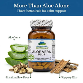 Vue arrière du flacon de capsules d'Aloe Vera