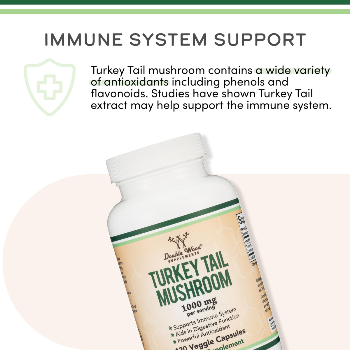 Vue arrière du flacon de capsules de Champignon Turkey Tail 1 000 mg