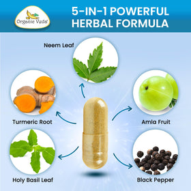 Vue arrière du flacon de capsules de Neem et Curcuma Organic Veda