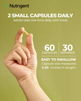 Vue arrière du flacon de capsules Nutrigent KSM-66 Ashwagandha