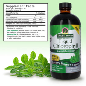 Vue arrière du flacon de chlorophylle liquide Nature's Answer