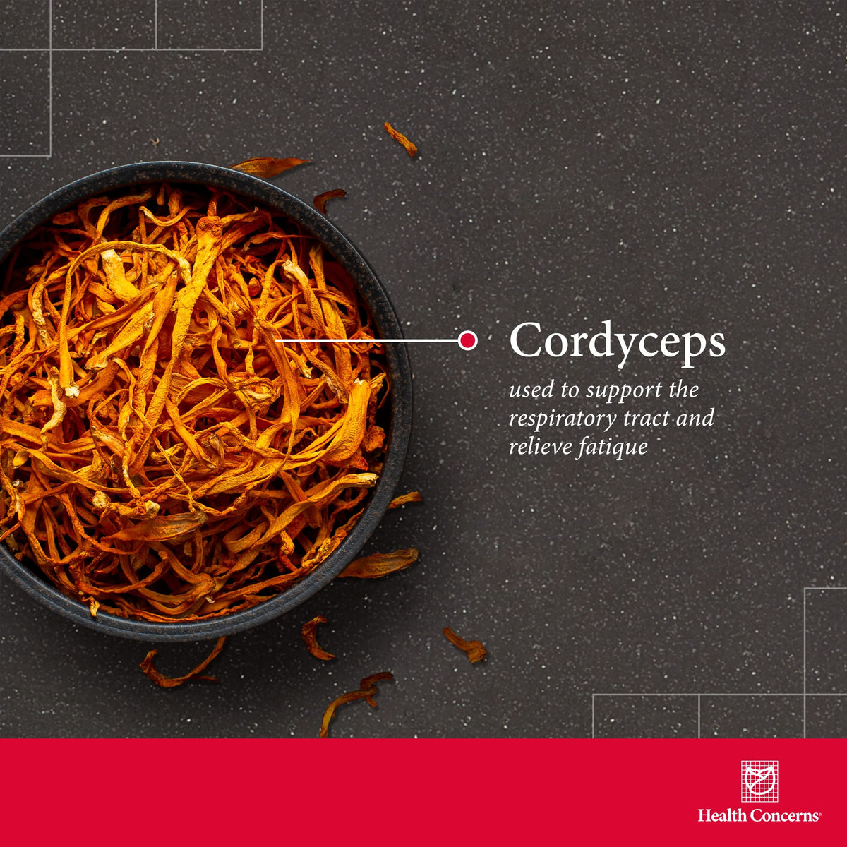 Vue arrière du flacon de Cordyceps PS avec informations nutritionnelles